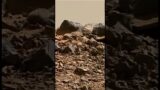Monsters of Mars/ Curiosity Mars Rover