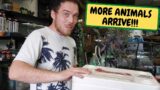 More Animals Arrive!!!! Snake Handling Food Aggression  (Snake Island Exotics)