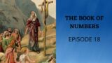 Morning Devotions on the Book of Numbers Episode 18