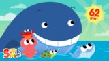 Mr. Golden Sun with Finny! & More Finny the Shark Songs | Kids Songs | Super Simple Songs