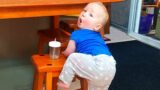 Naughty Babies Trouble Maker Will Make You Laugh || Just Laugh