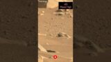 New 4k Footage of Mars by Perseverance Rover #shorts #marsshorts #shortsvideo