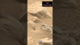 New Footage of Mars Surface #shorts #marsshorts  #shortsvideo