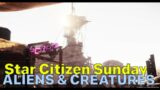 Nyx Info, Pyro Crab, Alien Creatures, Player Owned Refineries & Jump Points | Star Citizen Sunday