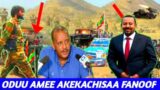 ODUU AMEE TPLf Fanoo Akekachiftee Lolaa Guyaa 6 Godhamen / Humnii Waranaa Motumma 50ni WBOti Galee!