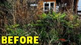 OVERGROWN – YEARS Of Growth CLEANED To Find HIDDEN Wall! – Garden Transformation