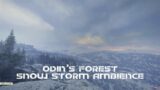 Odin's Forest with Full of Forgotten Celestial Powers. Ambient for Sleep, Study, Inspiration.