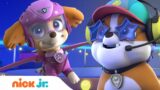 PAW Patrol Pups Make an Air Rescue! w/ Chase & Zuma | Nick Jr.