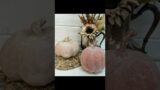 Pottery Barn dupe! Terracotta pumpkins!! #diycrafts #dupes #potterybarn #pumpkins #terracotta