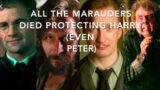 Sad Less Known Facts About Harry Potter. Part 2.