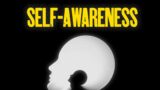 Self-Awareness: Going Down the Rabbit Hole of Self-Awareness