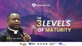 THE 3 LEVELS OF MATURITY (IN THE KINGDOM) || DR DAVID OGBUELI