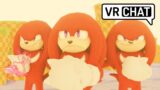 THE ECHIDNA TRIBE ON VRCHAT!!!
