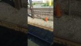 Things you see on train tracks.