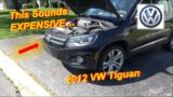 This Sounds EXPENSIVE… (VW Tiguan Low Oil Pressure?)
