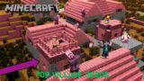 Top amazing village seed  in Minecraft