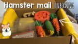 Unboxing hamster mail for the first time! | august 2022 subscription box