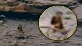 WAS SOMEONE SEEN SITTING ON MARS IN A ROVER PHOTO?