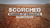 WION WIDEANGLE | Scorched: Summer of droughts