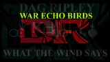 War Echo Birds  Lyric Video