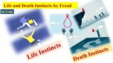 What are Instincts? Types of Instincts| life & Death Instincts| Psychoanalytic Theory| Criticism