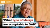 What type of Malays are acceptable to you, Zaid asks DAP