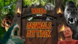 When Animals Attack | Video Essays | The Ringer