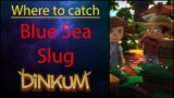 Where To Catch – Blue Sea Slug – Dinkum