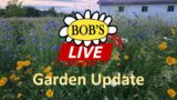 107 Bob's LIVE: Garden Update