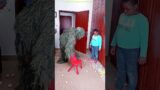 FUNNY VIDEO GHILLIE SUIT TROUBLEMAKER BUSHMAN PRANK try not to laugh Family The Honest Comedy 7