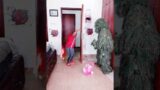 FUNNY VIDEO GHILLIE SUIT TROUBLEMAKER BUSHMAN PRANK try not to laugh Family The Honest Comedy