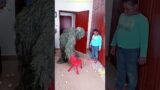 FUNNY VIDEO GHILLIE SUIT TROUBLEMAKER BUSHMAN PRANK try not to laugh Family The Honest Comedy 78