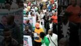 2023: Peter Obi Supporters March In Enugu, Ondo, Taraba And Gombe. #peterobi peter#youtubeshorts