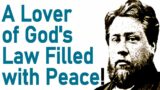 A Lover of God's Law Filled with Peace – Charles Haddon (C.H.) Spurgeon Sermon