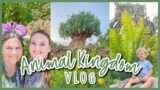 A Short Day at Animal Kingdom | Disney World Vlog | Britt + Jared