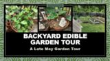 Backyard Edible Garden Tour | Late May Garden | Memorial Day