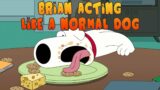 Best of BRIAN being a DOG | Family Guy