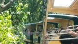 Bronx Zoo Monorail Tour Of Asia 8/14/2022