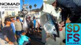 COW BLUEFIN TUNA | Night Fishing with SK Jigs at San Clemente Island on Nomad Sportfishing San Diego