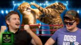 Cat Wrestling Federation – Off Topic – #354
