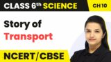 Class 6 Science Chapter 10 |  Story of Transport – Motion and Measurement of Distances