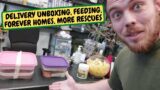 Delivery Day Unboxing, Feeding, Forever Homes And More Rescues (Snake Island Exotics)