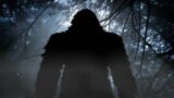 Did The Vikings Come Face To Face With Bigfoot? Plus Other Bigfoot News