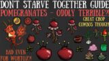 Don't Starve Together Guide: Pomegranates – Worst Crops Ever?! – Giants, Nutrients & More