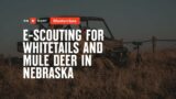 E-Scouting for Whitetails and Mule Deer in Nebraska