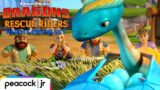 Egg Emergency! | DRAGONS RESCUE RIDERS: HEROES OF THE SKY