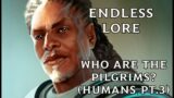 Endless Lore: Who are the Pilgrims? (Humans Pt.3)