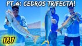 Ep.7: White SeaBass, Yellowtail, & Black SeaBass (Cedros Island Trifecta!)