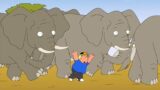 Family Guy Season 8 Ep.3 – Family Guy Full Episode Uncuts 1080p
