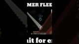 Fleet gamer MLG